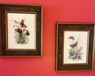 Butterfly Lithographs 
