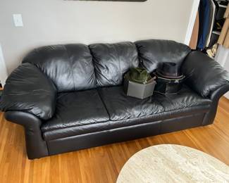 Sealy leather couch.