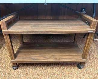 181 MCM Vintage Gusdorf TV Standmin