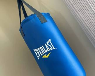 181 Everlast Punching Bagmin