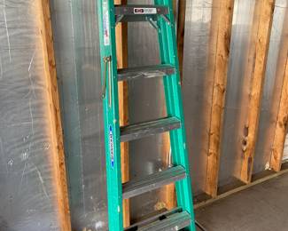 Werner ladder 