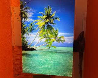 Lighted picture that makes beach sounds