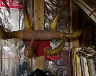 Decorative horns 