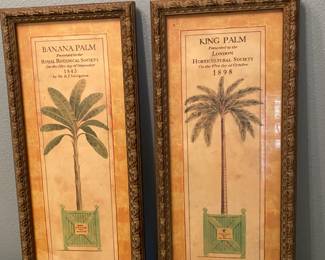Palm Tree Frames