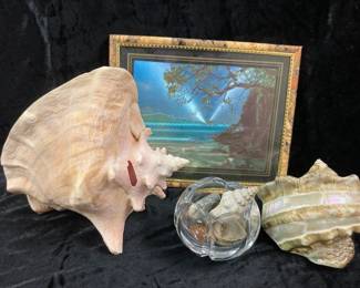 Seashells And Beach Art