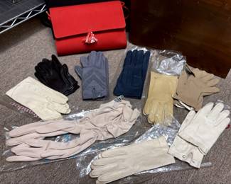 Handbag Gloves