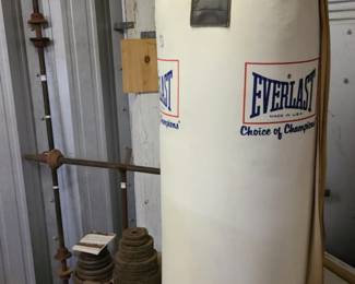 Everlast punching bag and several barbells and weight sets