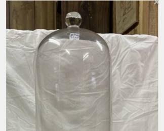 Large cloche/dome