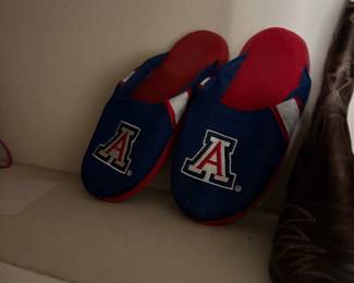 SLIPPERS