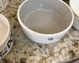 DOG BOWL