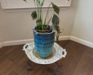 LIVE PLANT