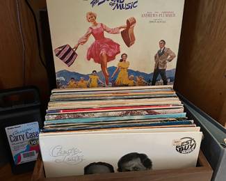 Assortment of Vinyl Records