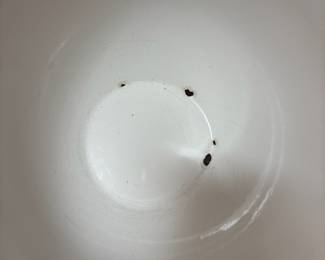 1960's Kaj Frank for ArabiaEnamel Bowl with Mushroom Design