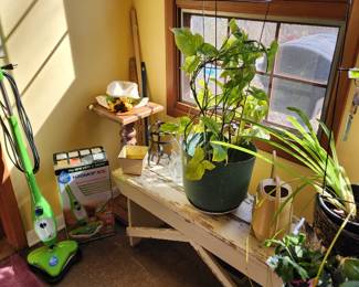 Floor steamer, plants and a bench