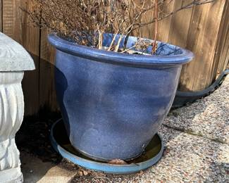 Large Planters and Pots