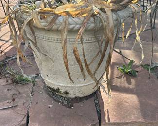 Large pots and planters