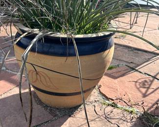 Large pots and planters