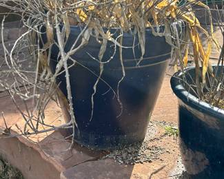 Large pots and planters