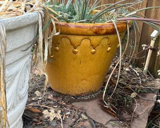 Large pots and planters