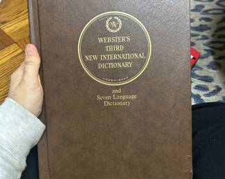 Websters seven language dictionary 