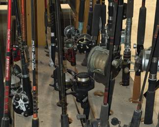 More Fishing Poles with Reels