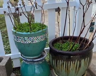 Lots of Nice Flower Pots 
