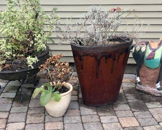 Outdoor pots & planters - there are more than shown here