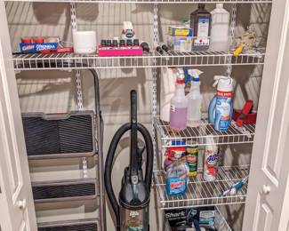 Vacuum cleaner with hose vacuum ($50), 2 heavy duty step ladders ($30 each), new Shark furniture cleaner ($50) various cleaning supplies
