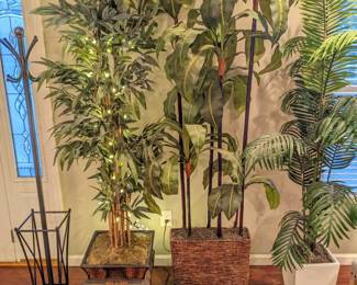 Coat rack with umbrella rail ($20), Plants ($60-$70)