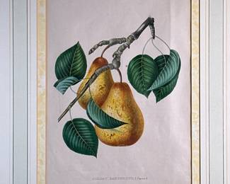 PEACH STILL LIFE LITHOGRAPH | Botanical study, Soldat Laboureup lithograph on paper. 11.5 x 9 in. sight. In a gilt frame - w. 18.75 x l. 21.75 in (frame)
