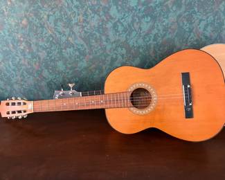 Domino acoustic guitar 