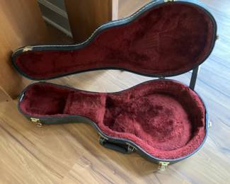 Hard case for mandolin