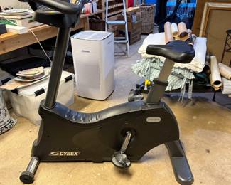 Cybex Cyclone Bike
