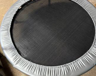 Trampoline/Rebounder