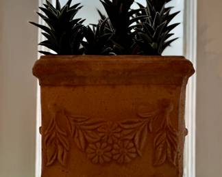 Beautiful and healthy succulent