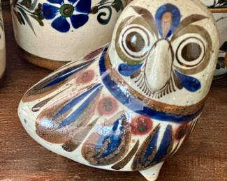 Tonala (Mexico) bird