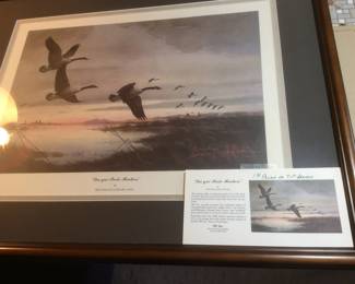 Vintage Duck Decoy Prints. Limited Editions. Many are numbered and signed w. COA's . Some Are Matted & Framed. Many are Matching Stamps.