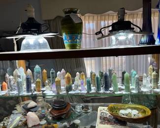 We have an awesome collection of Fossils and Minerals. Scroll to the bottom for more photos.