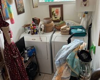 Looking into the Laundry roo