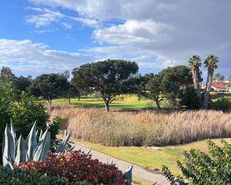 Our beautiful view