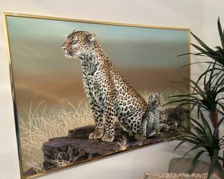 Large framed cheetah