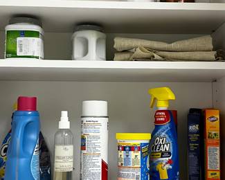 Lots of cleaning products