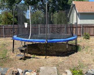 Auction Item https://www.estatesales.net/CA/Yuba-City/95991/marketplace/73456