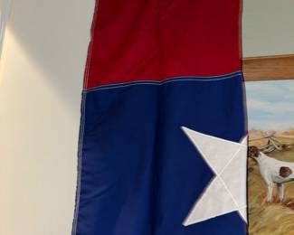 Texas Flag