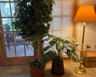Silk Plants