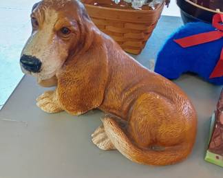 dog 