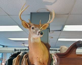 WE APOLOGIZE!!! WE REGRET TO INFORM YOU THAT legally we cannot sell the taxidermy threw the estate sale we were informed today Monday the 3rd that all the taxidermy has to go through Auction. a licensed auctioneer and or licensed auction firm license holder is allowed to sell taxidermy threw Auction only. We do have a Auction Firm license and we will just have to run it all threw in our FEB 15th auction.  We apologize for any inconvenience. Everything shown will be Available to purchase threw the Feb auction. sorry again but we have to do things the correct way. 