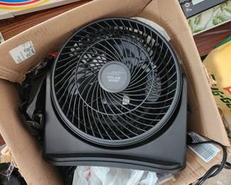 Fan