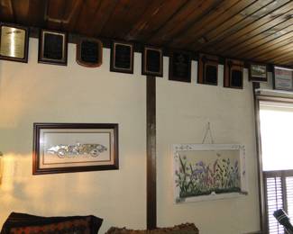 Lots of great Jaguar awards