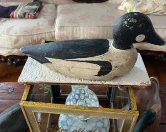 Duck Decoy